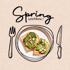 Spring-Lunchbox 1